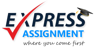 express assignment logo